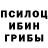 Псилоцибиновые грибы прущие грибы Rim Hassenazaiez