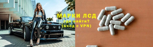 дживик Аркадак