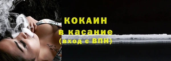 дживик Аркадак